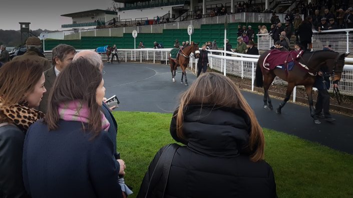 In the paddock