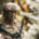 Soldier equipped with Spectra Group’s GENSS tactical radio system during field operations, demonstrating secure beyond line of sight communications.